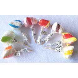 CHIQUES ARTISANALES GM 40...