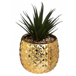PLANTE POT ANANAS NANI 21 CM