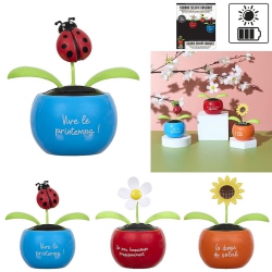 FLEUR SOLAIRE DANSANTE